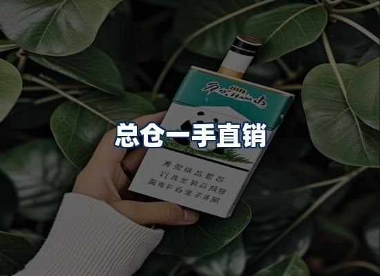 专业团队办公环境